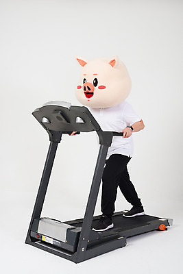 포토 JPG 스튜디오촬영 전신 남자 실내 한명 사람 20대 성인 옆모습 달리기 운동 건강관리 한국인 돼지띠 돼지 흰배경 런닝머신 돼지캐릭터 유산소운동 동물탈 인형탈 성인남자한명만 기해년 국내포토 1 뷰포인트 동물캐릭터 백그라운드 포유류 모션 건강 관리 동양인 청년 내부 운동기구 흰색 십이지신 탈 남자한명만 성인남자만 파일형식 2019년