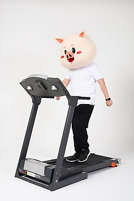 포토 JPG 스튜디오촬영 전신 남자 실내 한명 사람 20대 성인 옆모습 달리기 운동 건강관리 한국인 돼지띠 돼지 흰배경 런닝머신 돼지캐릭터 유산소운동 동물탈 인형탈 성인남자한명만 기해년 국내포토 1 뷰포인트 동물캐릭터 백그라운드 포유류 모션 건강 관리 동양인 청년 내부 운동기구 흰색 십이지신 탈 남자한명만 성인남자만 파일형식 2019년
