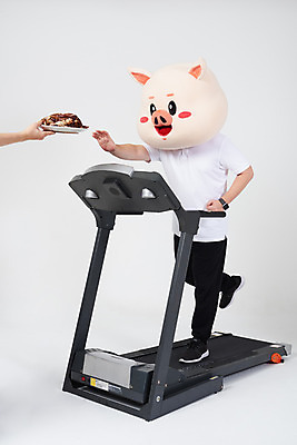 포토 JPG 스튜디오촬영 전신 손 남자 다이어트 실내 한명 들기 사람 20대 성인 옆모습 신체부위 달리기 건강관리 한국인 돼지띠 돼지 손내밀기 흰배경 야식 런닝머신 돼지캐릭터 족발 유산소운동 손뻗기 동물탈 인형탈 자기관리 절제 성인남자한명만 기해년 국내포토 1 뷰포인트 동물캐릭터 백그라운드 포유류 모션 건강 관리 돼지고기 동양인 손짓 청년 내부 운동 운동기구 흰색 십이지신 탈 남자한명만 성인남자만 파일형식 2019년