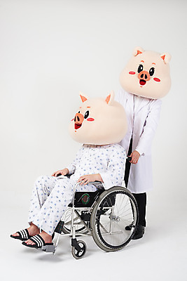 포토 JPG 스튜디오촬영 전신 남자 실내 병원 사람 20대 성인 두명 옆모습 고통 한국인 환자 의사 돼지띠 돼지 수술 질병 휠체어 흰배경 돼지캐릭터 환자복 동물탈 인형탈 입원 재활 성인남자만 기해년 아프리카돼지열병 국내포토 옷 감정 뷰포인트 동물캐릭터 백그라운드 포유류 의학 동양인 청년 내부 치료 의료진 흰색 십이지신 탈 남자만 성인만 파일형식 2019년 돼지전염병