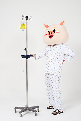 포토 JPG 스튜디오촬영 전신 남자 실내 병원 한명 사람 20대 성인 옆모습 고통 한국인 환자 돼지띠 돼지 질병 링거 흰배경 돼지캐릭터 환자복 동물탈 인형탈 입원 재활 허리통증 성인남자한명만 기해년 국내포토 1 옷 감정 뷰포인트 동물캐릭터 백그라운드 포유류 의학 의료기기 동양인 청년 내부 치료 흰색 십이지신 탈 남자한명만 성인남자만 파일형식 2019년