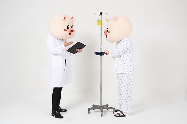 포토 JPG 스튜디오촬영 전신 남자 실내 병원 대화 사람 20대 성인 두명 옆모습 고통 한국인 환자 의사 돼지띠 돼지 수술 질병 링거 흰배경 돼지캐릭터 환자복 동물탈 서류판 인형탈 입원 재활 성인남자만 기해년 국내포토 옷 감정 뷰포인트 동물캐릭터 백그라운드 포유류 의학 의료기기 말하기 동양인 청년 내부 치료 사무용품 의료진 흰색 십이지신 탈 남자만 성인만 파일형식 2019년 동물 직업 캐릭터 컬러 모션 문구용품 가면 인종 연도 오브젝트