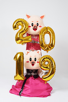 포토 JPG 스튜디오촬영 전신 부부 커플 여자 명절 기념일 남자 새해 실내 사람 상반신 20대 성인 두명 앞모습 한국인 돼지띠 돼지 한복 흰배경 해피뉴이어 돼지캐릭터 동물탈 인형탈 성인만 2019년 기해년 국내포토 한국전통 전통 뷰포인트 동물캐릭터 백그라운드 포유류 관계 동양인 이벤트 청년 내부 새해인사 흰색 십이지신 전통의상 연도 탈 파일형식