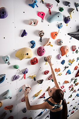 포토 JPG 우먼라이프 여자 스포츠 실내 매달리기 한명 안전 사람 상반신 20대 성인 뒷모습 레포츠 운동복 하이앵글 운동 헬스장 한국인 도전 잡기 익스트림스포츠 체육관 오르기 암벽등반 인공암벽등반 최선 클라이밍 성인여자한명만 국내포토 1 라이프스타일 옷 뷰포인트 모션 레저 건강 동양인 청년 내부 헬스 등산 등반 여자한명만 성인여자만 파일형식