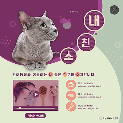 PSD 템플릿 한마리 ZIP 웹템플릿 안내 팝업 이벤트팝업 웹팝업 이벤트 사람없음 친구 반려동물 고양이 동영상 반려 애완용사료 빅팝업 반려묘 애묘용품 이미지템플릿 반려용품 동물 1 포유류 관계 오브젝트 파일형식