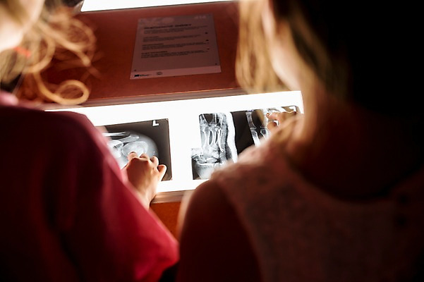 포토 JPG 서양인 외국인 응시 여자 어린이교육 교육 초등학생 어린이 뼈 엑스레이 실내 사람 상반신 두명 뒷모습 10대 친구 가리킴 체험학습 체험 박물관 체코 놀이체험 소녀만 국내포토 학생 시선 유럽 뷰포인트 컨셉 의학 관계 청소년 인종 손짓 내부 여자만 어린이만 파일형식