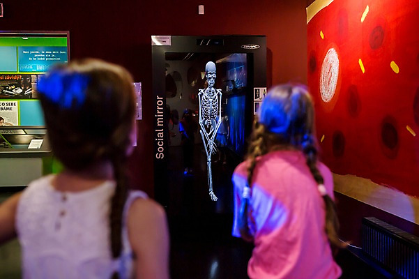 포토 JPG 서양인 외국인 응시 여자 어린이교육 교육 초등학생 어린이 포즈 신체 장난 투시 모션 뼈 해골 실내 사람 상반신 두명 뒷모습 10대 친구 카메라 체험학습 체험 박물관 체코 놀이체험 소녀만 국내포토 학생 시선 유럽 뷰포인트 컨셉 관계 청소년 인종 내부 전자제품 여자만 어린이만 파일형식