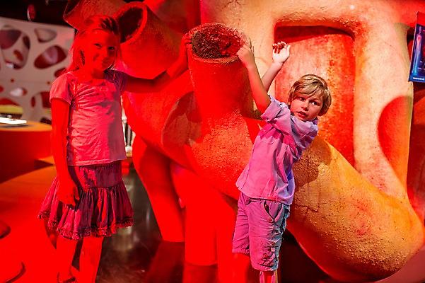 포토 JPG 서양인 외국인 여자 어린이교육 교육 남자 초등학생 어린이 실내 서기 미소 사람 상반신 두명 옆모습 10대 친구 모형 만지기 심장 잡기 체험학습 체험 호기심 박물관 체코 놀이체험 대형 심장모형 어린이만 국내포토 학생 감정 유럽 뷰포인트 컨셉 관계 모션 청소년 표정 인종 내부 장기_의학 파일형식