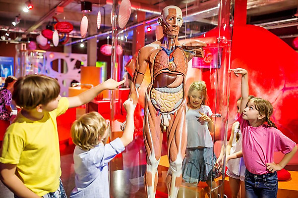 포토 JPG 서양인 외국인 응시 여자 어린이교육 교육 남자 초등학생 어린이 과학 신체 의학 인체모형 놀이 근육 실내 사람 여러명 상반신 앞모습 옆모습 10대 친구 모형 전시 가리킴 체험학습 체험 장기 박물관 체코 놀이체험 어린이만 국내포토 학생 시선 유럽 뷰포인트 다수 컨셉 관계 청소년 인종 손짓 내부 파일형식