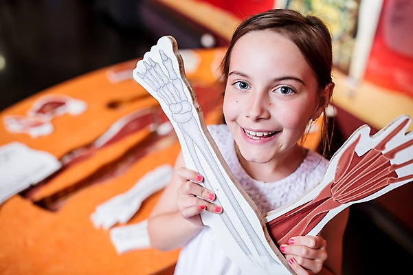 포토 JPG 서양인 외국인 응시 여자 어린이교육 교육 초등학생 어린이 조각 과학 신체 인체모형 놀이 근육 뼈 실내 한명 미소 들기 사람 상반신 앞모습 10대 하이앵글 체험학습 체험 즐거움 박물관 체코 팔 팔근육 놀이체험 소녀한명만 국내포토 1 학생 시선 감정 유럽 뷰포인트 컨셉 모션 청소년 표정 인종 내부 신체부위 모형 여자한명만 소녀만 파일형식