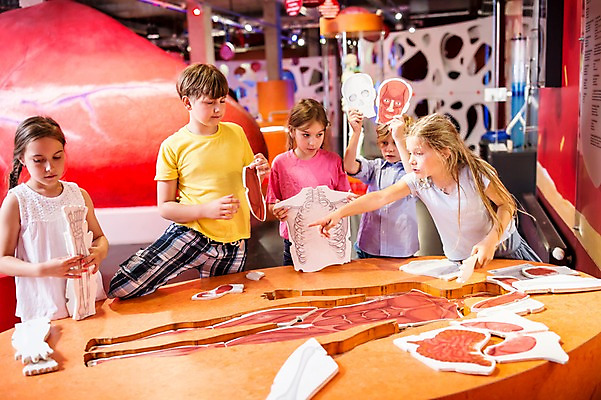 포토 JPG 서양인 외국인 여자 어린이교육 교육 남자 초등학생 어린이 조각 신체 인체모형 실내 들기 사람 여러명 상반신 앞모습 옆모습 10대 친구 모형 가리킴 체험학습 체험 즐거움 박물관 체코 놀이체험 맞추기 어린이만 국내포토 학생 감정 유럽 뷰포인트 다수 컨셉 관계 모션 청소년 인종 손짓 내부 파일형식