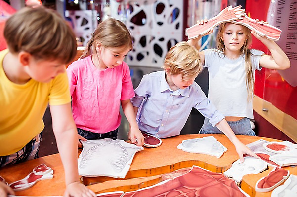 포토 JPG 서양인 외국인 여자 어린이교육 교육 남자 초등학생 어린이 생각 신체 인체모형 실내 사람 여러명 상반신 앞모습 10대 친구 모형 체험학습 체험 퍼즐 고민 박물관 체코 놀이체험 조각맞추기 어린이만 국내포토 학생 감정 유럽 뷰포인트 다수 컨셉 관계 청소년 인종 내부 맞추기 파일형식