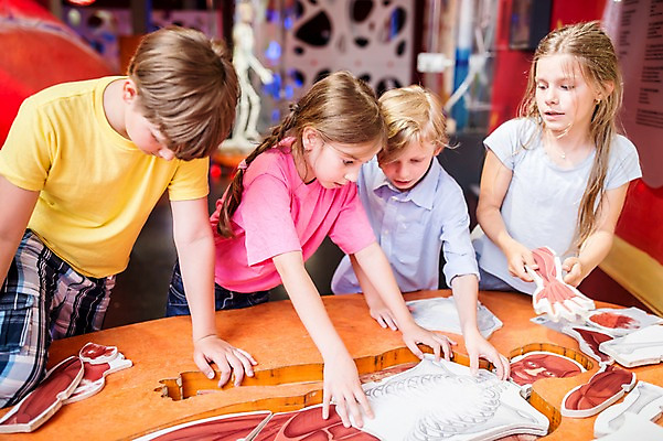 포토 JPG 서양인 외국인 여자 어린이교육 교육 남자 초등학생 어린이 과학 신체 인체모형 실내 사람 여러명 상반신 앞모습 옆모습 10대 친구 모형 체험학습 체험 호기심 박물관 체코 놀이체험 어린이만 국내포토 학생 감정 유럽 뷰포인트 다수 컨셉 관계 청소년 인종 내부 파일형식