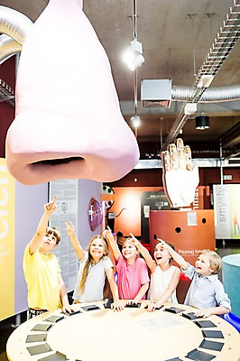 포토 JPG 서양인 외국인 여자 어린이교육 교육 남자 초등학생 어린이 실내 미소 웃음 사람 여러명 상반신 앞모습 옆모습 10대 친구 모형 가리킴 체험학습 체험 즐거움 박물관 코 체코 지목 후각 어린이만 국내포토 학생 감정 유럽 뷰포인트 다수 컨셉 관계 청소년 표정 인종 손짓 내부 신체부위 감각 파일형식