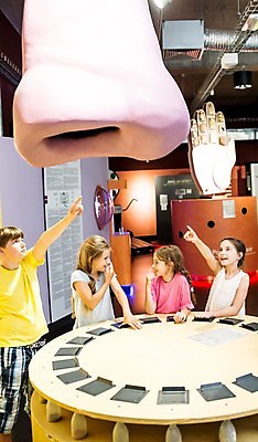 포토 JPG 서양인 외국인 여자 어린이교육 교육 남자 초등학생 어린이 장난 실내 웃음 사람 여러명 상반신 앞모습 옆모습 10대 모형 가리킴 체험학습 체험 즐거움 박물관 코 체코 후각 어린이만 국내포토 학생 감정 유럽 뷰포인트 다수 컨셉 청소년 표정 인종 손짓 내부 신체부위 감각 파일형식