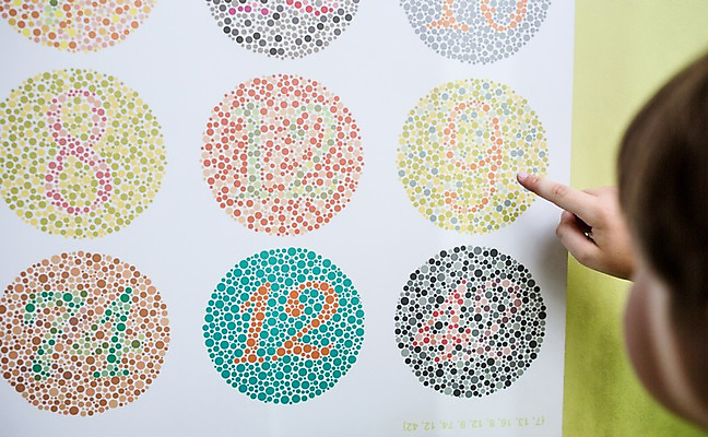 포토 JPG 서양인 외국인 어린이교육 교육 남자 초등학생 어린이 손가락 실내 한명 사람 상반신 뒷모습 10대 진료 가리킴 체험학습 체험 검사_조사 박물관 시력 체코 시력검사 색맹검사 소년한명만 국내포토 1 학생 손 유럽 뷰포인트 컨셉 의학 청소년 인종 손짓 내부 남자한명만 소년만 파일형식