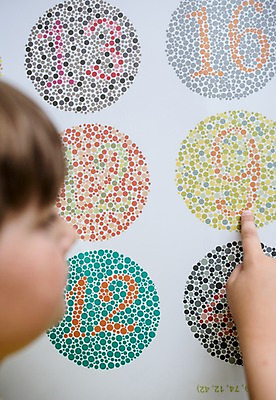 포토 JPG 서양인 외국인 어린이교육 교육 남자 얼굴 초등학생 어린이 실내 한명 사람 상반신 옆모습 아웃포커스 신체부위 10대 가리킴 체험학습 체험 검사_조사 박물관 시력 체코 색맹검사 소년한명만 국내포토 1 학생 유럽 뷰포인트 컨셉 의학 청소년 촬영기법 인종 손짓 내부 남자한명만 소년만 파일형식