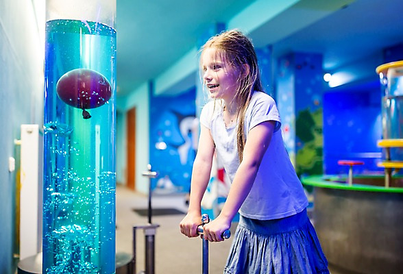 포토 JPG 서양인 외국인 여자 어린이교육 교육 초등학생 어린이 과학 실내 한명 서기 미소 사람 상반신 옆모습 10대 물 잡기 체험학습 체험 누름 박물관 체코 소녀한명만 국내포토 자연요소 1 학생 유럽 뷰포인트 컨셉 모션 청소년 표정 인종 내부 여자한명만 소녀만 파일형식