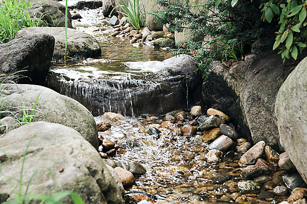 포토 JPG 주간 공원 서울 풍경 사람없음 야외 조약돌 바위 잡초 개울 남산 남산공원 국내여행 국내포토 자연요소 식물 공공시설 여행 한국 강 돌_바위 랜드마크 파일형식