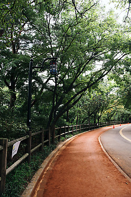 포토 JPG 주간 나무 공원 길 서울 풍경 사람없음 야외 산책로 남산 남산공원 국내여행 황토 둘레길 황토길 국내포토 자연요소 식물 공공시설 여행 한국 흙 랜드마크 파일형식
