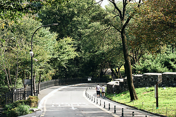 포토 JPG 주간 전신 나무 공원 여자 남자 가로등 서울 사람 풍경 잔디 성인 야외 두명 뒷모습 산책로 한국인 성벽 남산 남산공원 국내여행 돌담길 둘레길 국내포토 자연요소 식물 공공시설 길 뷰포인트 여행 한국 돌담 동양인 랜드마크 파일형식