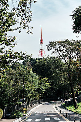 포토 JPG 주간 나무 공원 길 가로등 하늘 서울 풍경 잔디 사람없음 야외 산책로 남산 송전탑 남산공원 국내여행 돌담길 둘레길 국내포토 자연요소 식물 공공시설 여행 한국 돌담 탑 랜드마크 파일형식