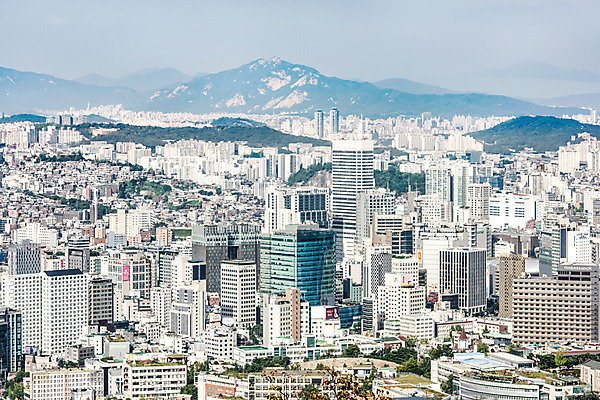 포토 JPG 주간 나무 산 서울 풍경 빌딩 사람없음 야외 건물 도시풍경 도시 도심 남산 국내여행 국내포토 자연요소 식물 건축물 여행 한국 랜드마크 파일형식