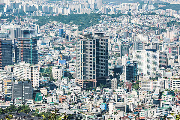포토 JPG 주간 나무 서울 풍경 빌딩 사람없음 야외 건물 도시풍경 도시 도심 남산 국내여행 국내포토 자연요소 식물 건축물 여행 한국 랜드마크 파일형식
