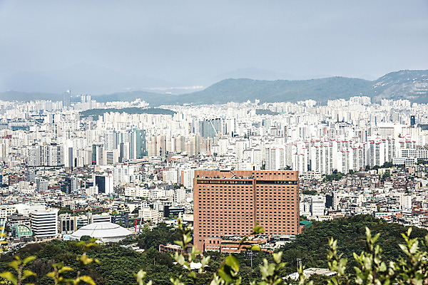 포토 JPG 주간 나무 하늘 서울 풍경 빌딩 사람없음 야외 건물 아웃포커스 도시풍경 도시 도심 남산 빌딩숲 국내여행 국내포토 자연요소 식물 건축물 여행 한국 촬영기법 랜드마크 파일형식