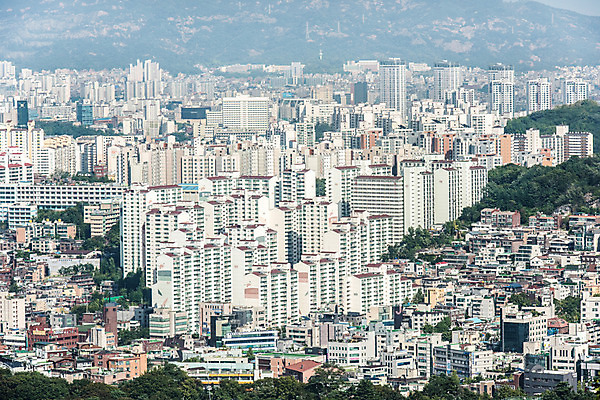 포토 JPG 주간 나무 서울 풍경 빌딩 사람없음 야외 건물 도시풍경 도시 도심 남산 빌딩숲 국내여행 국내포토 자연요소 식물 건축물 여행 한국 랜드마크 파일형식
