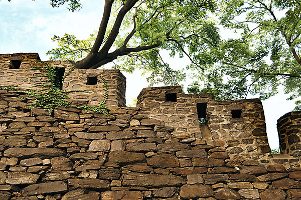 포토 JPG 주간 나무 서울 풍경 사람없음 야외 남산 국내여행 돌담길 성곽길 국내포토 자연요소 식물 길 여행 한국 돌담 랜드마크 파일형식