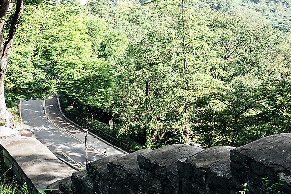 포토 JPG 주간 나무 도로 길 서울 풍경 사람없음 야외 남산 국내여행 돌담길 성곽길 국내포토 자연요소 식물 여행 교통시설 한국 돌담 랜드마크 파일형식