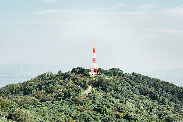포토 JPG 주간 나무 하늘 산 서울 풍경 사람없음 야외 남산 송전탑 국내여행 국내포토 자연요소 식물 여행 한국 탑 랜드마크 파일형식