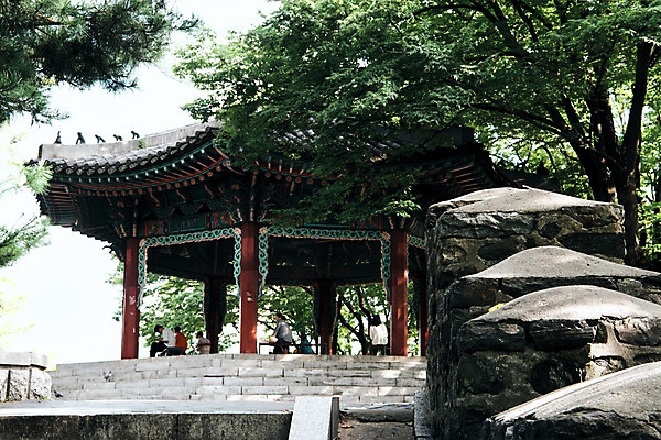 포토 JPG 주간 나무 서울 사람 앉기 풍경 여러명 야외 정자 남산 국내여행 돌담길 팔각정 성곽길 국내포토 자연요소 식물 건축물 길 여행 다수 모션 한국 돌담 정자_건축물 랜드마크 파일형식