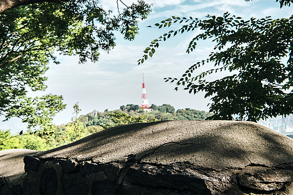 포토 JPG 주간 나무 하늘 서울 풍경 사람없음 야외 아웃포커스 남산 송전탑 국내여행 돌담길 성곽길 국내포토 자연요소 식물 길 여행 한국 돌담 촬영기법 탑 랜드마크 파일형식