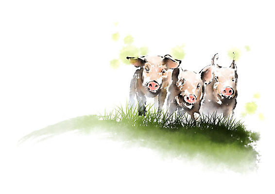 PSD 일러스트 캘리그라피 붓터치 세마리 사람없음 돼지 들풀 언덕 번짐 국내일러스트 포유류 3 파일형식 효과