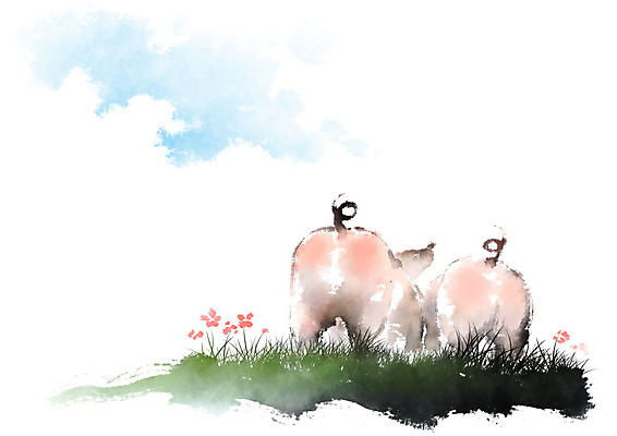 PSD 꽃 두마리 일러스트 캘리그라피 붓터치 사람없음 돼지 들풀 언덕 꼬리 번짐 국내일러스트 식물 2 포유류 파일형식 효과