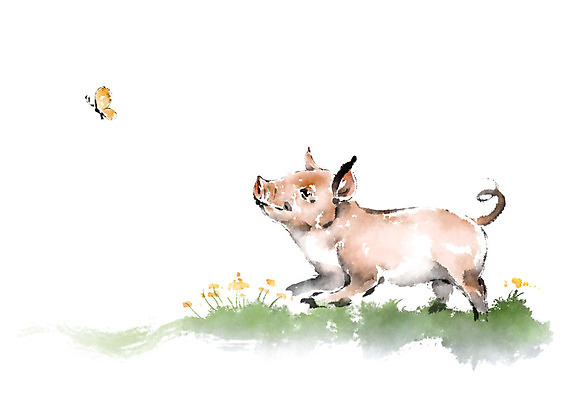 PSD 한마리 꽃 나비 일러스트 캘리그라피 붓터치 사람없음 들꽃 돼지 언덕 번짐 국내일러스트 식물 1 곤충 포유류 파일형식 효과