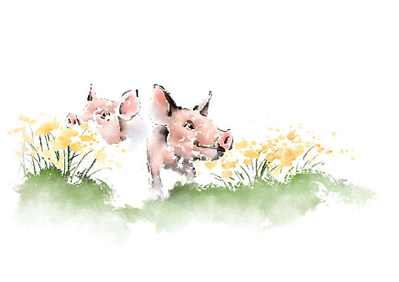 PSD 꽃 두마리 일러스트 캘리그라피 붓터치 사람없음 돼지 언덕 향기 번짐 국내일러스트 식물 2 포유류 냄새 파일형식 효과