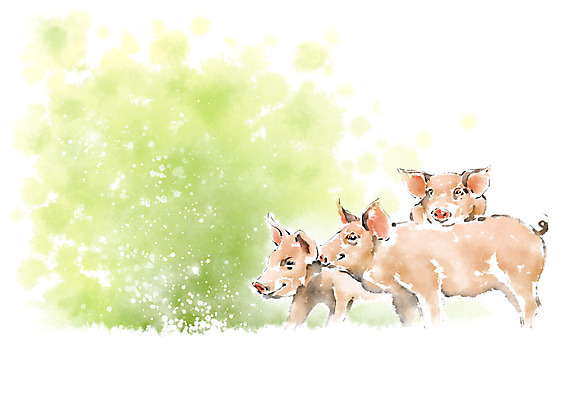 PSD 일러스트 캘리그라피 붓터치 세마리 사람없음 돼지 언덕 번짐 국내일러스트 포유류 3 파일형식 효과