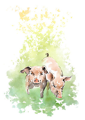 PSD 두마리 일러스트 캘리그라피 붓터치 사람없음 달리기 돼지 언덕 번짐 국내일러스트 2 포유류 모션 파일형식 효과