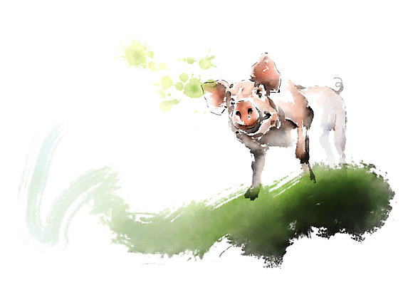 PSD 한마리 일러스트 캘리그라피 붓터치 사람없음 돼지 언덕 번짐 국내일러스트 1 포유류 파일형식 효과