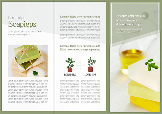 나무 템플릿 표지디자인 북디자인 출판디자인 내지 화분 리플렛 북커버 포장 3단접지 유리병 나뭇잎 팜플렛 사람없음 뷰티 유기농 비누 오일병 천연비누 이미지템플릿 AI파일 식물 웰빙 잎 병_용기 위생용품 파일형식 벡터