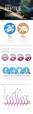 일러스트 파충류 그래프 사람없음 인포그래픽 뱀 비교 거북이 먹이 도마뱀 바다거북 육지거북 국내일러스트 AI파일 동물 컨셉 파일형식 벡터