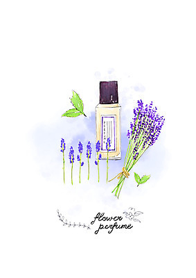 PSD 꽃잎 꽃다발 일러스트 나뭇잎 수채화 사람없음 뷰티 보라색 미용용품 향수 번짐 안개꽃 국내일러스트 꽃 컬러 잎 화장품 오브젝트 한해살이풀 파일형식 효과