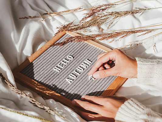 포토 JPG 해외이미지 식물 손 영어 액자 실내 액자틀 신체부위 장식 가을 잡기 천 놓기 해외포토 문자 계절 모션 틀 사람 내부 직물 파일형식 이미지허브