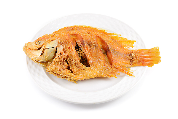 포토 JPG 해외이미지 접시 음식 건강 어류 요리 사람없음 식사 튀김 흰색 닫기 그릴 고립 해외포토 식기 컬러 모션 주방용품 수중동물 파일형식 이미지허브