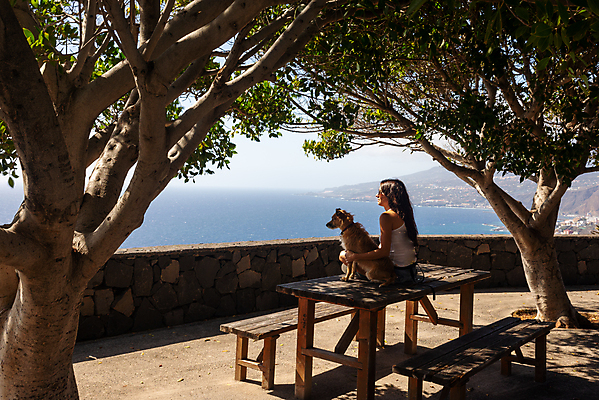 포토 JPG 해외이미지 나무 외관 공원 섬 밭 벤치 자연 하늘 휴가 휴식 한명 풍경 야외 옆모습 장식 초록색 파란색 빛 햇빛 평화 환경 화목 침묵 가을 스페인 개 강아지 원예 조경 천국 일반 방법 해외포토 식물 1 계절 공공시설 유럽 뷰포인트 컬러 컨셉 농업 의자 포유류 사람 취미 반려동물 태양 소리 생태계 파일형식 이미지허브