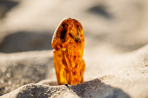 포토 JPG 해외이미지 자연 사람없음 빛 주황색 투명 보석 화석 앰버 해외포토 컬러 광석 생태계 파일형식 이미지허브