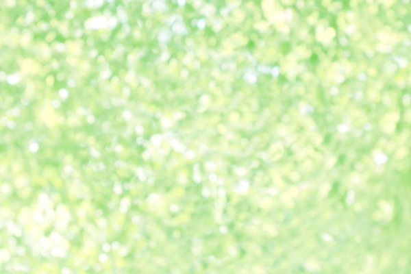 포토 JPG 해외이미지 나무 식물 백그라운드 컨셉 잎 크리스마스 패턴 자연 휴가 불꽃 사람없음 야외 목재 장식 초록색 여름 빛 컬러풀 태양 노란색 우주 환경 맑음 봄 신선 원형 신용카드 소프트포커스 질감 보케 부드러움 마법 내추럴 광 블러 효과 해외포토 자연요소 도형 계절 기념일 컬러 무늬 재료 불 날씨 촬영기법 금융 감각 생태계 파일형식 이미지허브